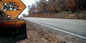 Wildfire: Great Alpine Road near Omeo - Bush fire aftermath