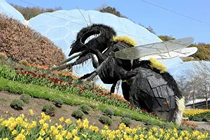 Eden: The Great Bee