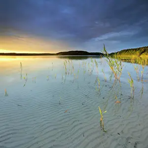 Clean: Great F&, x32cf496e;see lake with reeds, clear water