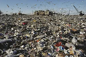 Landfill: Great Kills Landfill