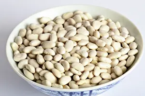 Fagioli: Great Northern Bean