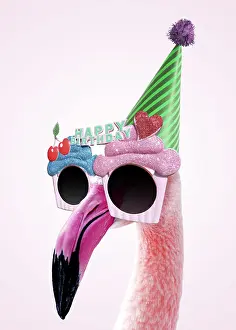 Bills: Greater Flamingo wearing happy birthday sun-glasses