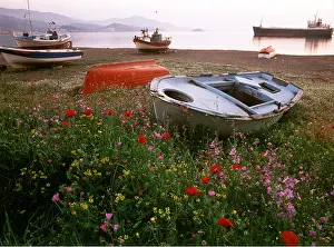 Harbours: GREECE - with boats and wild flowers