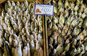 Crowded: Greece, Crete. Detail at fish market in