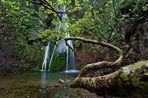 Plane: Greece, Crete. Waterfall and branches of