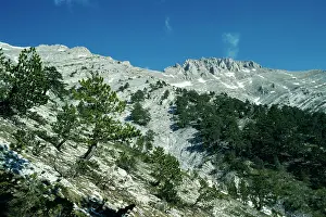 Olympus: GREECE - MOUNT OLYMPUS