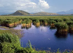 Fringed: Greece - wildlife site fringed with reeds