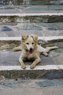 Stair: Greek Island of Crete and old town of Chania