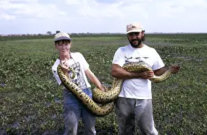 Francois Gohier: Green ANACONDA - Being held by biologist Jesus Rivas
