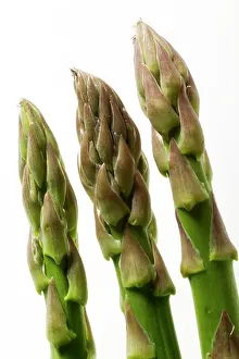 Asparagus: Green Asparagus - close-up of tips