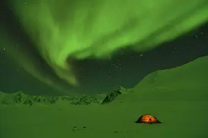 Tent: Green Aurora borealis on a bivouac on the Kolding