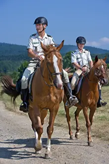 Brigade: Green Brigard in Mountain in summer