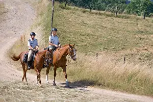 Brigade: Green Brigard in Mountain in summer