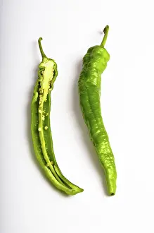Peppers: Green Chili Pepper