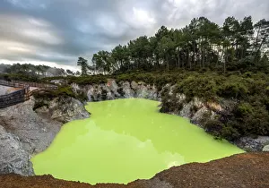 Thermal: Green Devil's Bath thermal lake in Wai-O-Tapu thermal