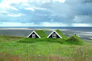 Svartifoss: Green farm, Svartifoss, Iceland