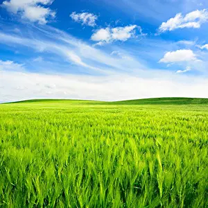 Fair: Green field with fair weather clouds, hilly landscape