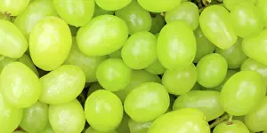 Essen: Green Grapes Grape Grape Fruit Fruit Background