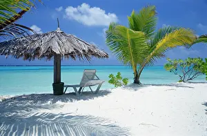 Chairs: Green palm, blue sky, turquoise sea, white sand