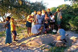 Watched: Green turtle - female laying, watched by tourists