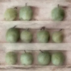 Reine: Greengage