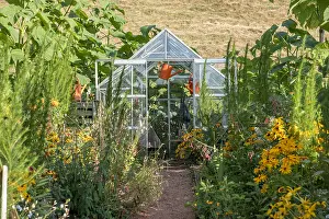 Moselle: Greenhouse in a garden, summer, Moselle, France