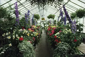 Greenhouses: Greenhouse interior