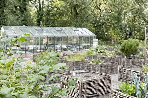 Hazel: Greenhouse and square foot gardens with hazel wood