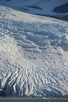 Prins: Greenland Glacier