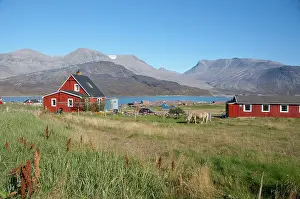 Housing: Greenland, Igaliku (aka Igaliko), Igaliku
