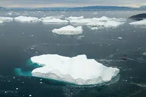 Disko: Greenland, Illulissat, Icebergs in fjord