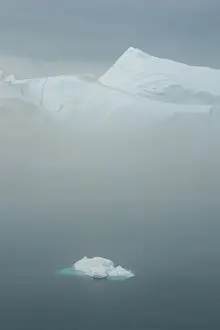 Disko: Greenland, Illulissat, Icebergs in fjord