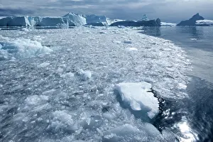 Disko: Greenland, Ilulissat, Field of brash ice