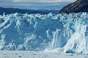 Calving: Greenland, Ilulissat, Icebergs calving from