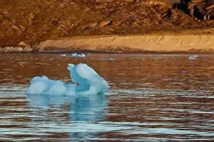 Midnight: Greenland, Ilulissat, Setting midnight sun