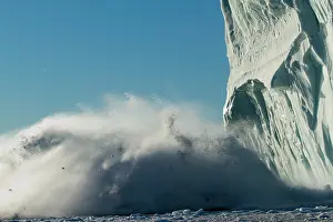 Calving: Greenland, Ilulissat, Slab of ice falls