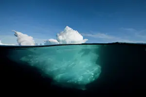 Disko: Greenland, Ilulissat, Underwater image of