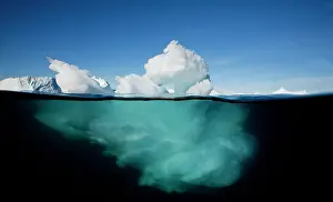 Disko: Greenland, Ilulissat, Underwater image of