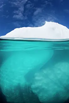 Disko: Greenland, Ilulissat, Underwater view of