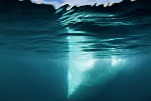 Peace: Greenland, Ilulissat, Underwater view of