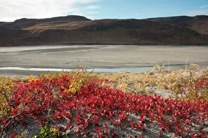 Kangerlussuaq: Greenland, Qeqqata, Kangerlussuaq or Sondrestrom