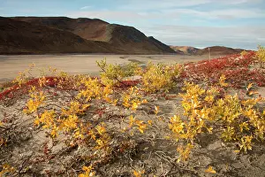 Kangerlussuaq: Greenland, Qeqqata, Kangerlussuaq or Sondrestrom