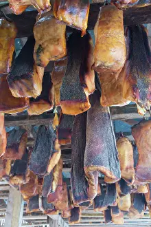 Shark: Greenland Shark meat 06