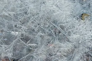 Qassiarsuq: Greenland, Tunulliarfik, Qassiarsuk. Detail