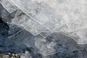 Cindy: Greenland, Tunulliarfik, Qassiarsuk. Detail