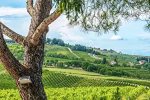 Tuscany: Greve in Chianti, Tuscany, Italy. Landscape view across