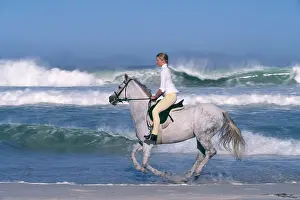 Dappled: GREY HORSE - Girl riding through waves on beach