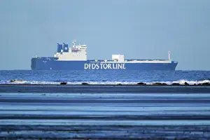Encroachment: Grey Seal - animals on sandbank with container