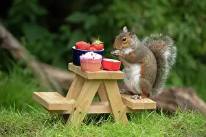 Cake: Grey Squirrel on a miniature picnic bench eating