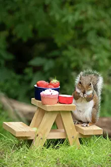 Cake: Grey Squirrel on a miniature picnic bench eating